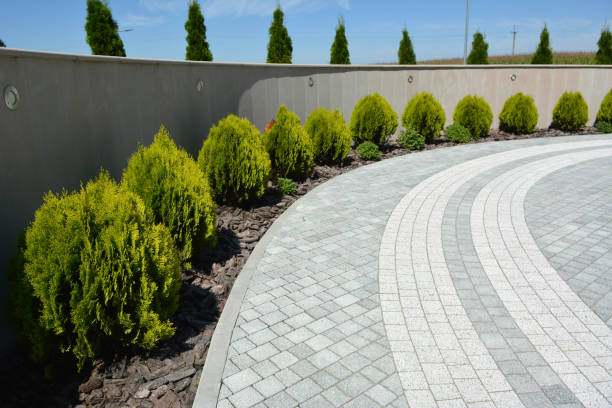 Reasons to Select Us for Your Driveway Paving Requirements in Walnut Grove, GA